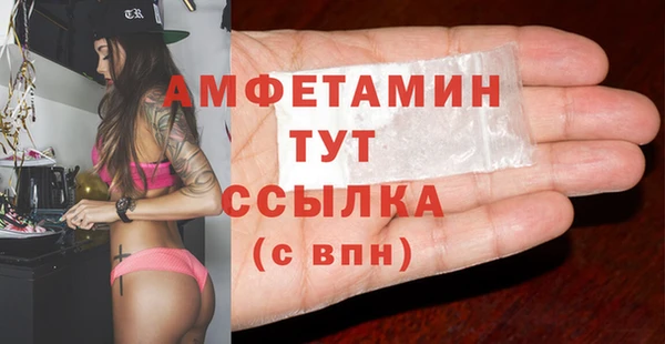 индика Верхний Тагил
