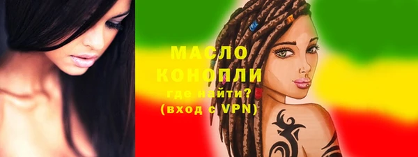 индика Верхний Тагил