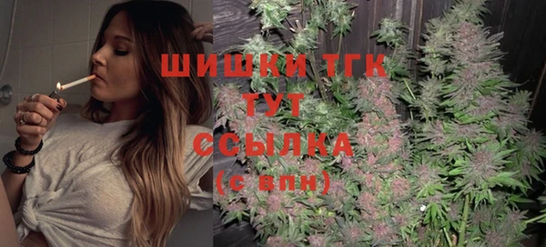 индика Верхний Тагил