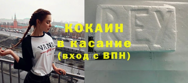 индика Верхний Тагил