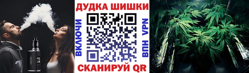Купить где  Кораблино  Конопля план 